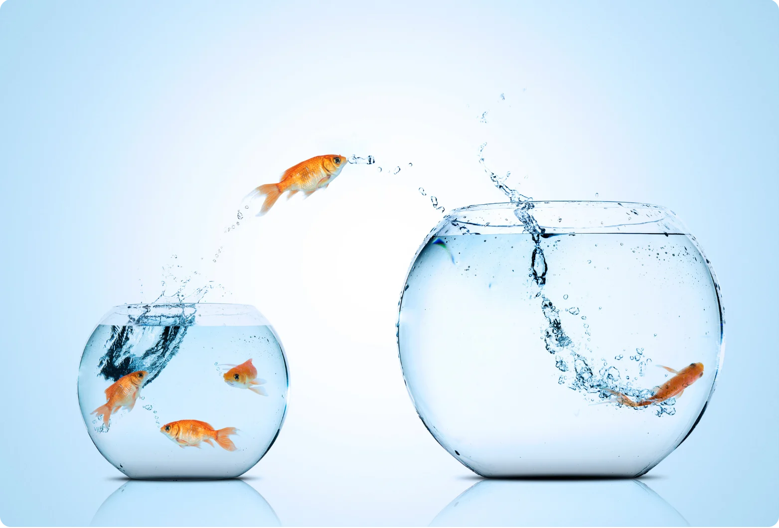 Webbhotell,domän,hosting,flytt av domän,. Se,. Com